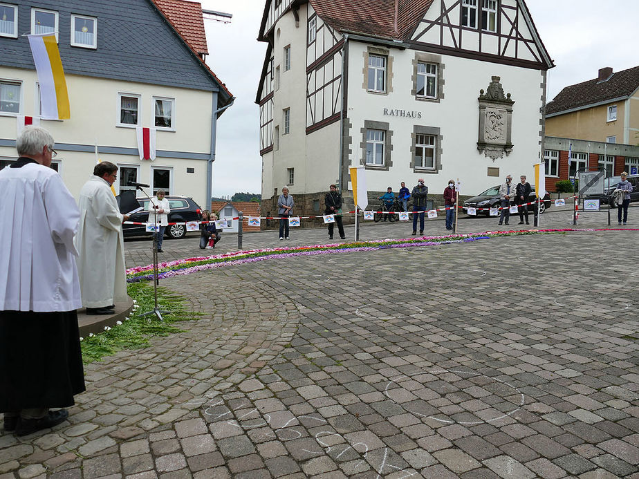 Bluemteppich auf dem Naumburegr Marktplatz (Foto: Karl-Franz Thiede)